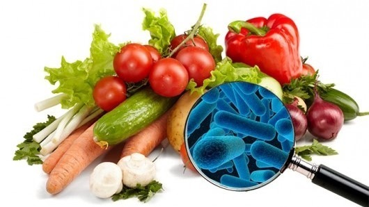 bea microrganismos-alimentos-cursos-cpt b